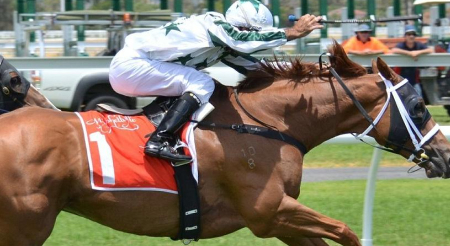 馬連流しとは 点数は何点 軸1頭や軸2頭おすすめの買い方を解説 競馬は予想より買い方