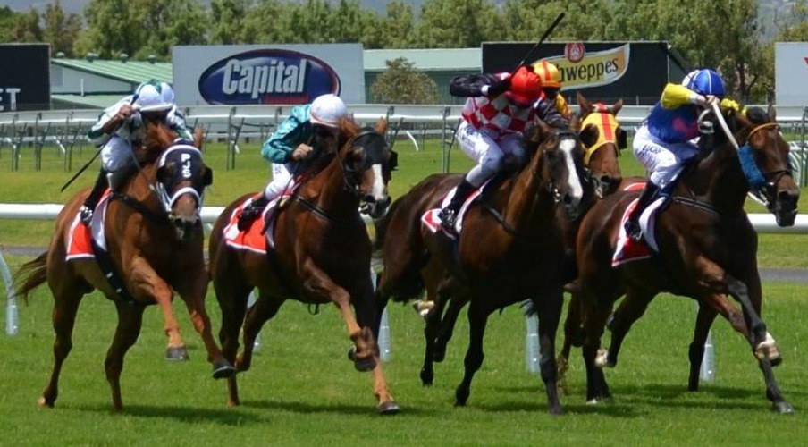 馬連流しとは 点数は何点 軸1頭や軸2頭おすすめの買い方を解説 競馬は予想より買い方