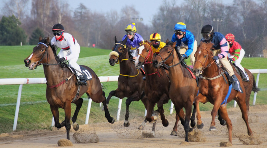 競馬の単勝は倍率が決まっている 当たった時にいくらになるのか確認しよう 競馬は予想より買い方