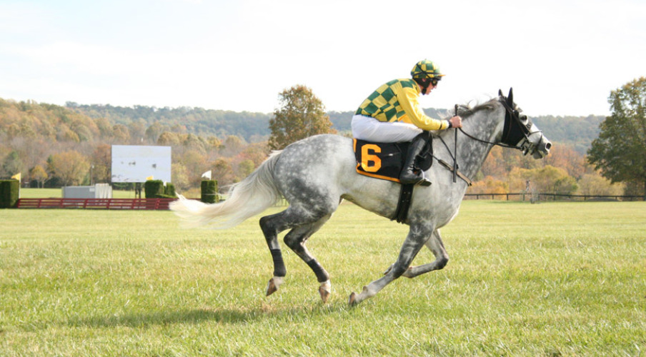 競馬はネットで簡単に購入 スマホだけで地方競馬も簡単に買える 競馬は予想より買い方