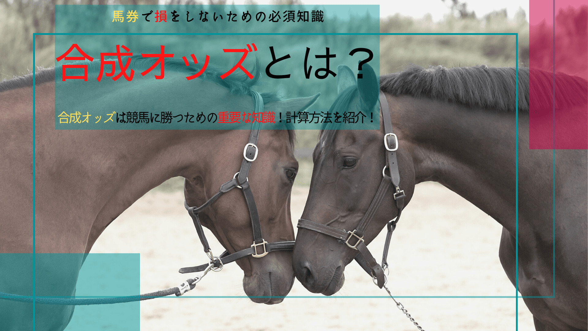 合成オッズとは 計算方法を紹介 競馬に勝つための期待値と目安 競馬は予想より買い方