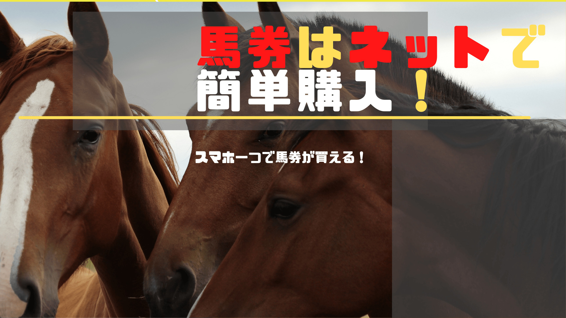 競馬はネットで簡単に購入 スマホだけで地方競馬も簡単に買える 競馬は予想より買い方