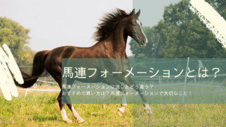 馬連フォーメーション