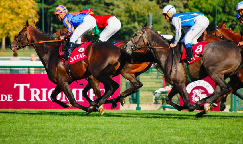 馬単と馬連はどっちを選んだ方が得をする 馬券の意味や特徴から考える 競馬は予想より買い方