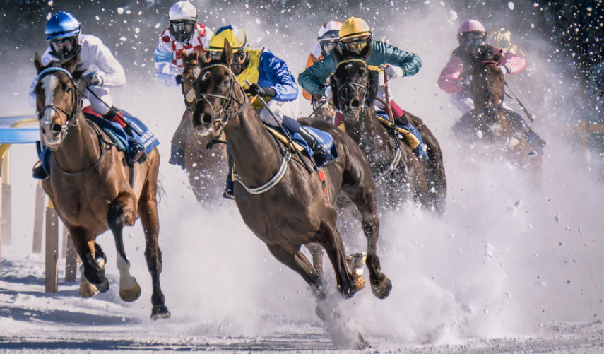 馬単と馬連はどっちを選んだ方が得をする 馬券の意味や特徴から考える 競馬は予想より買い方