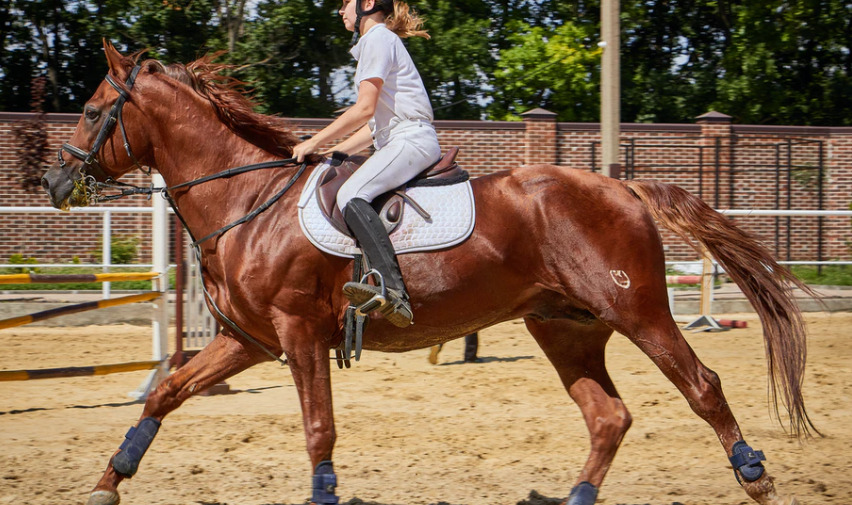 馬単と馬連はどっちを選んだ方が得をする 馬券の意味や特徴から考える 競馬は予想より買い方