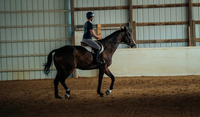 馬単と馬連はどっちを選んだ方が得をする 馬券の意味や特徴から考える 競馬は予想より買い方