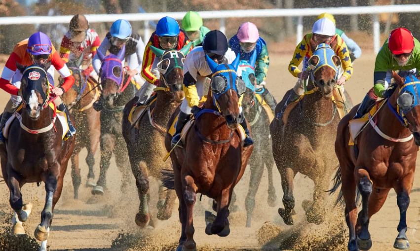 馬単と馬連はどっちを選んだ方が得をする 馬券の意味や特徴から考える 競馬は予想より買い方