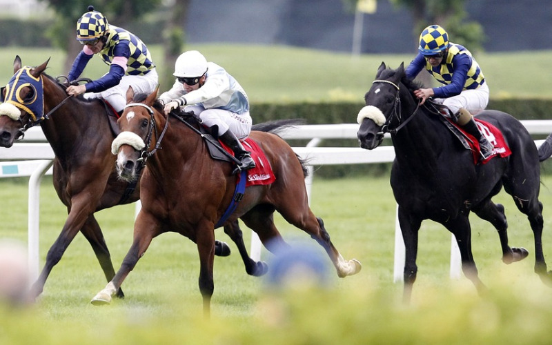 3連複ボックスはいくらかかる 5頭買いをおすすめする理由と当てるコツ 競馬は予想より買い方