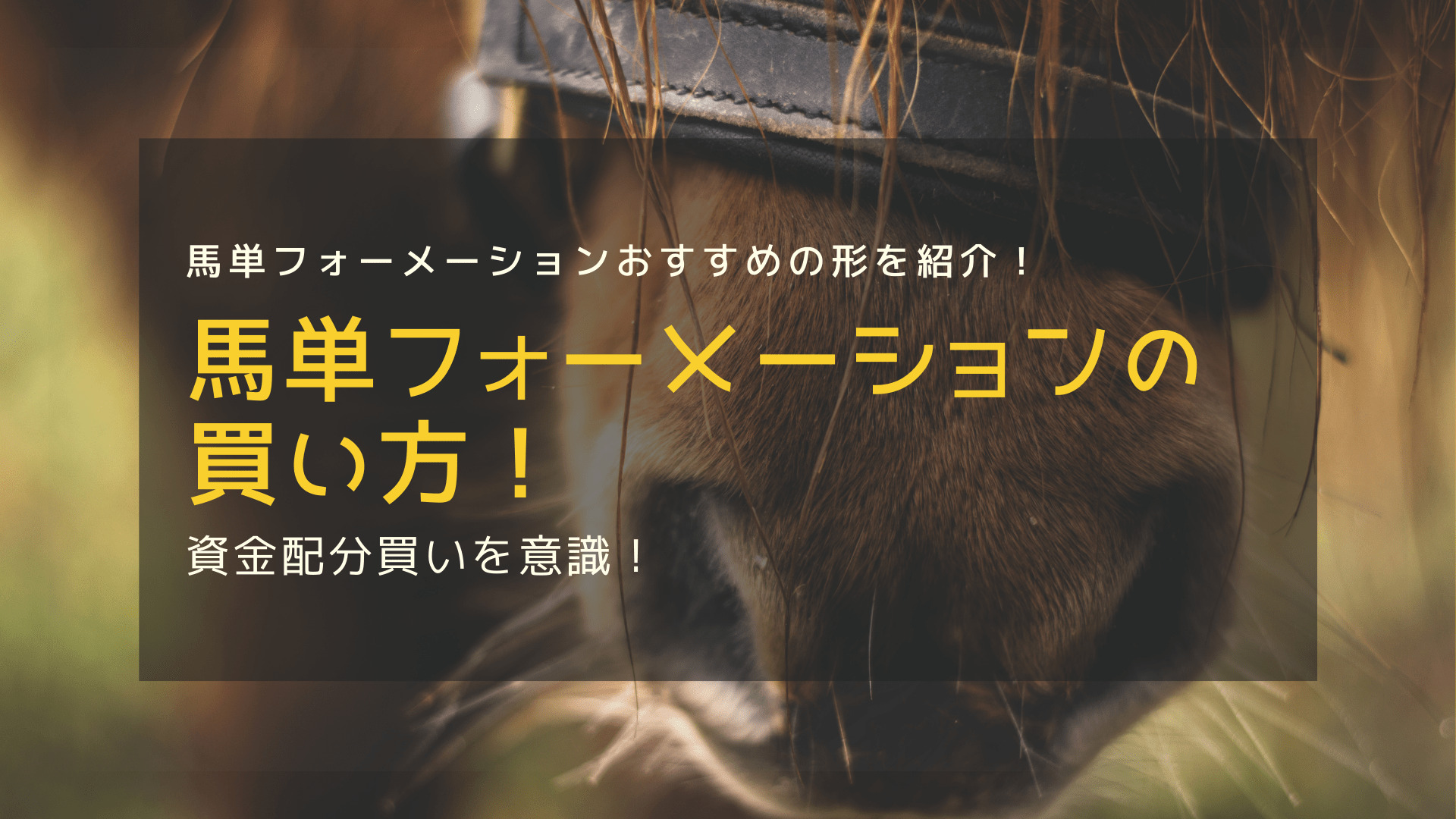 馬単フォーメーションの買い方 最強はフォーメーションに資金配分 競馬は予想より買い方