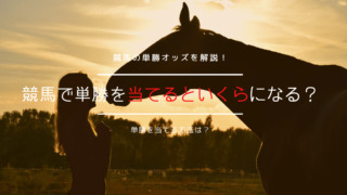競馬の単勝の倍率は?