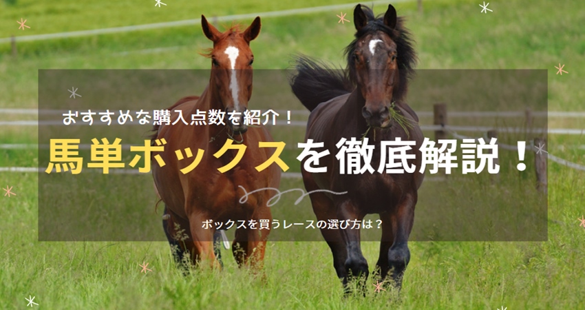 馬単 ボックス 解説